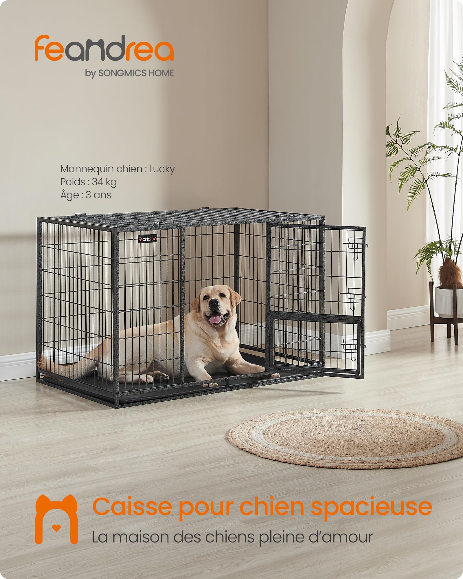 Feandrea Cage pour Chien Lourd, 122 x 74,5 x 80,5 cm, pour Chiens Moyens et Grands, Double Porte Amovible, XXL, Gris PPD003G01