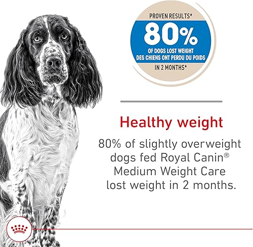 Miniatura 9 de Royal Canin Alimento seco para perros adultos para razas medianas, bolsa de 17 libras