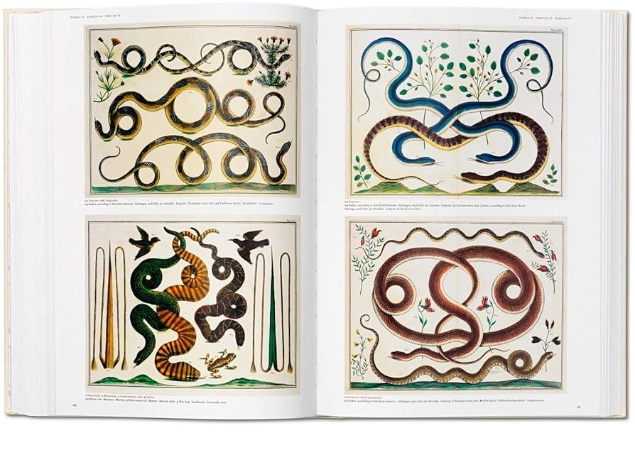 セバ著　Cabinet of Natural Curiosities25th Seba. Cabinet of Natural Curiosities. TASCHEN Books