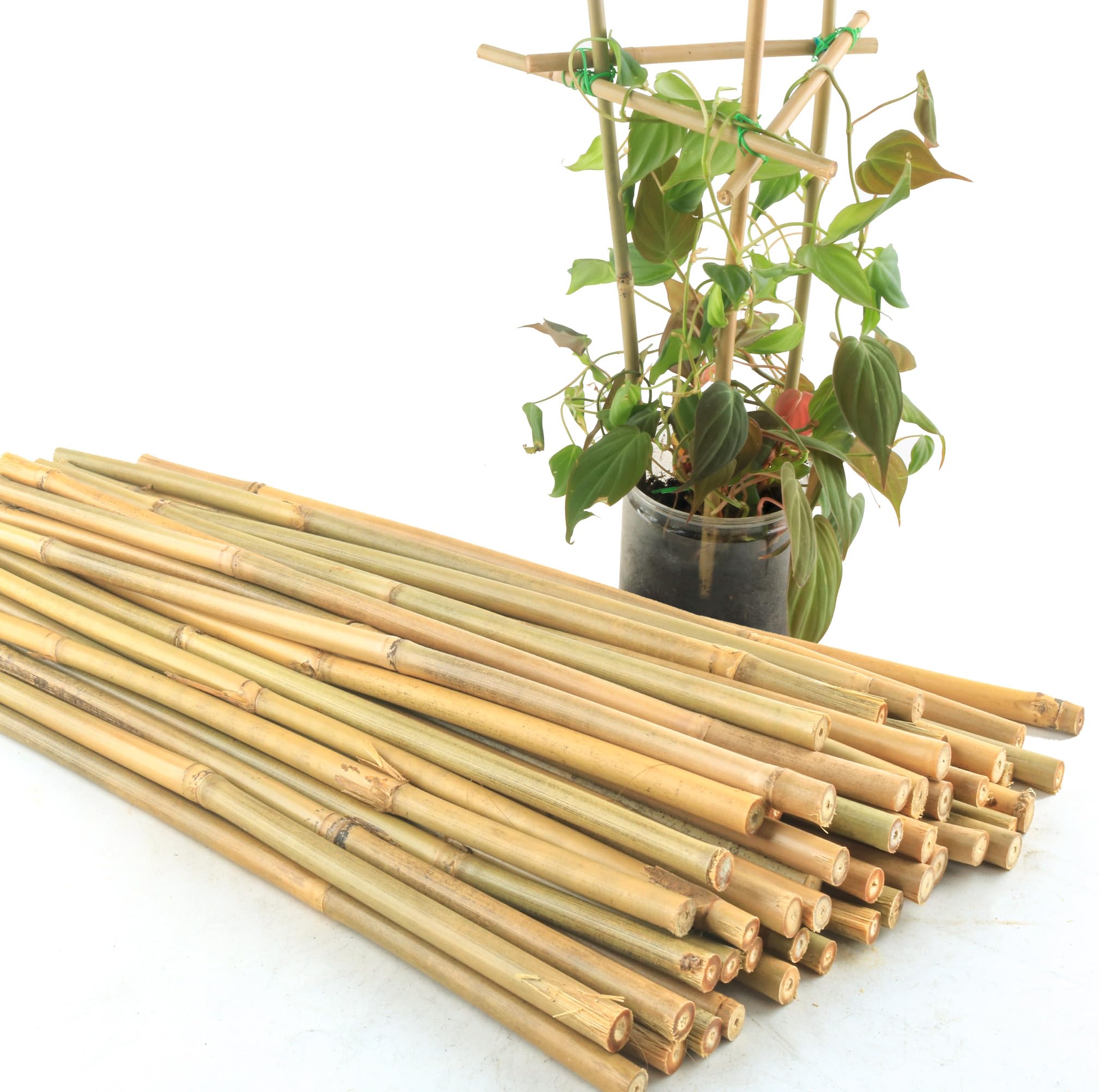 Avalution 50Pcs Bamboo Plant Stakes for Indoor Outdoor Plants, 0.32''-0.4''/18 Inch Bamboo Sticks Garden Support Stakes Bamboo Poles Trellis for Tomato Vegetables Beans Trees Potted Climbing Plants