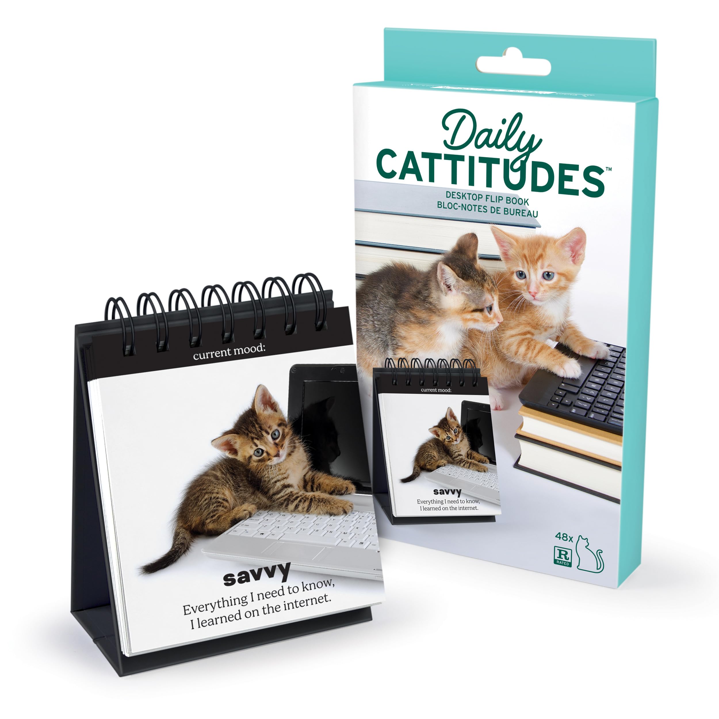 Genuine Fred Tableau de conférence Daily Cattitude Desktop