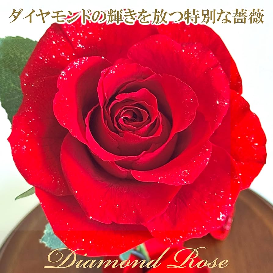 Amazon｜プリザーブドフラワー 赤いバラ 美女と野獣 ガラス