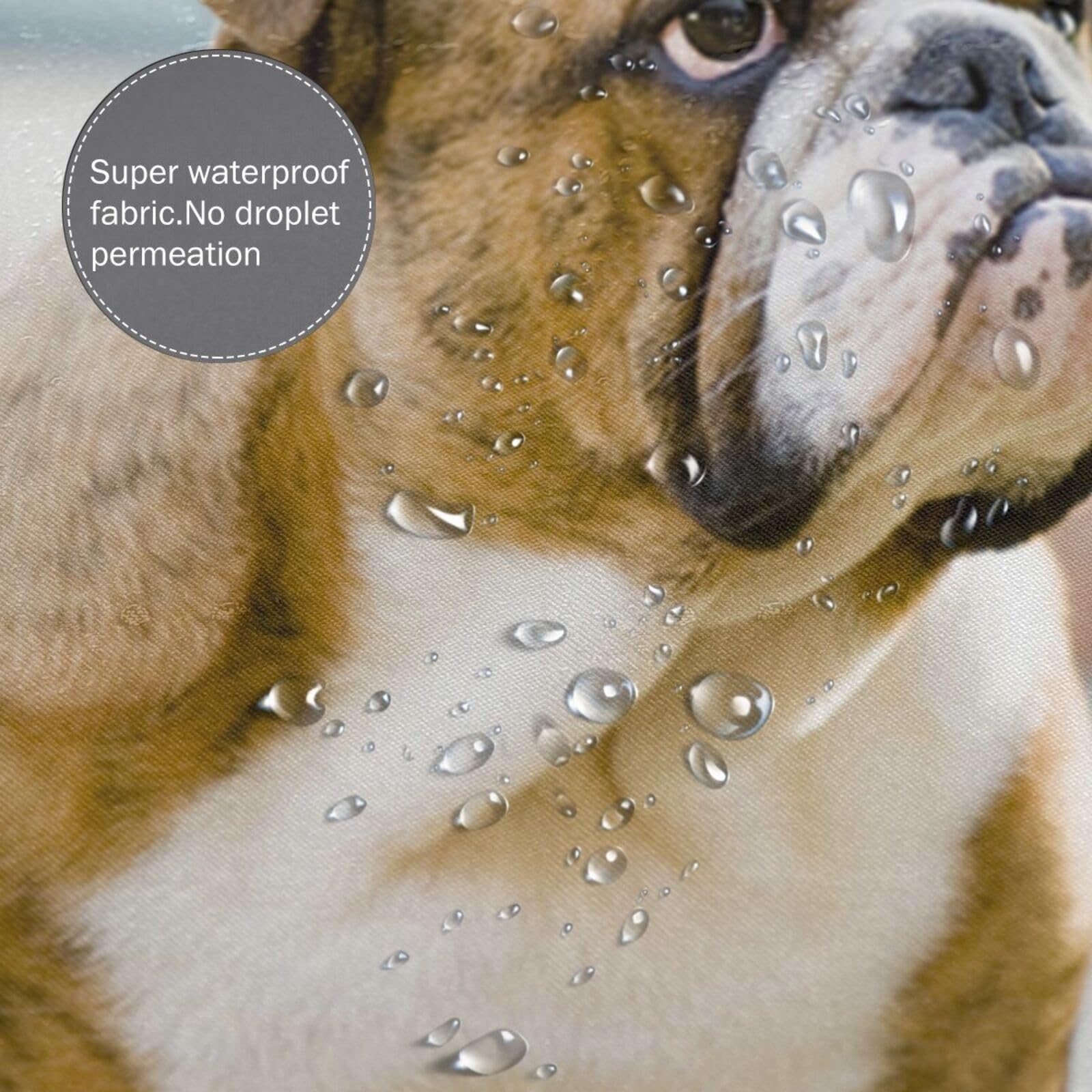 RnnJoile Duschvorhang Mit Französischer Bulldogge – 183 X 183 Cm, Schwarz-weißes Hunde-Design, Wasserdichter Polyester | Inkl. 12 Haken