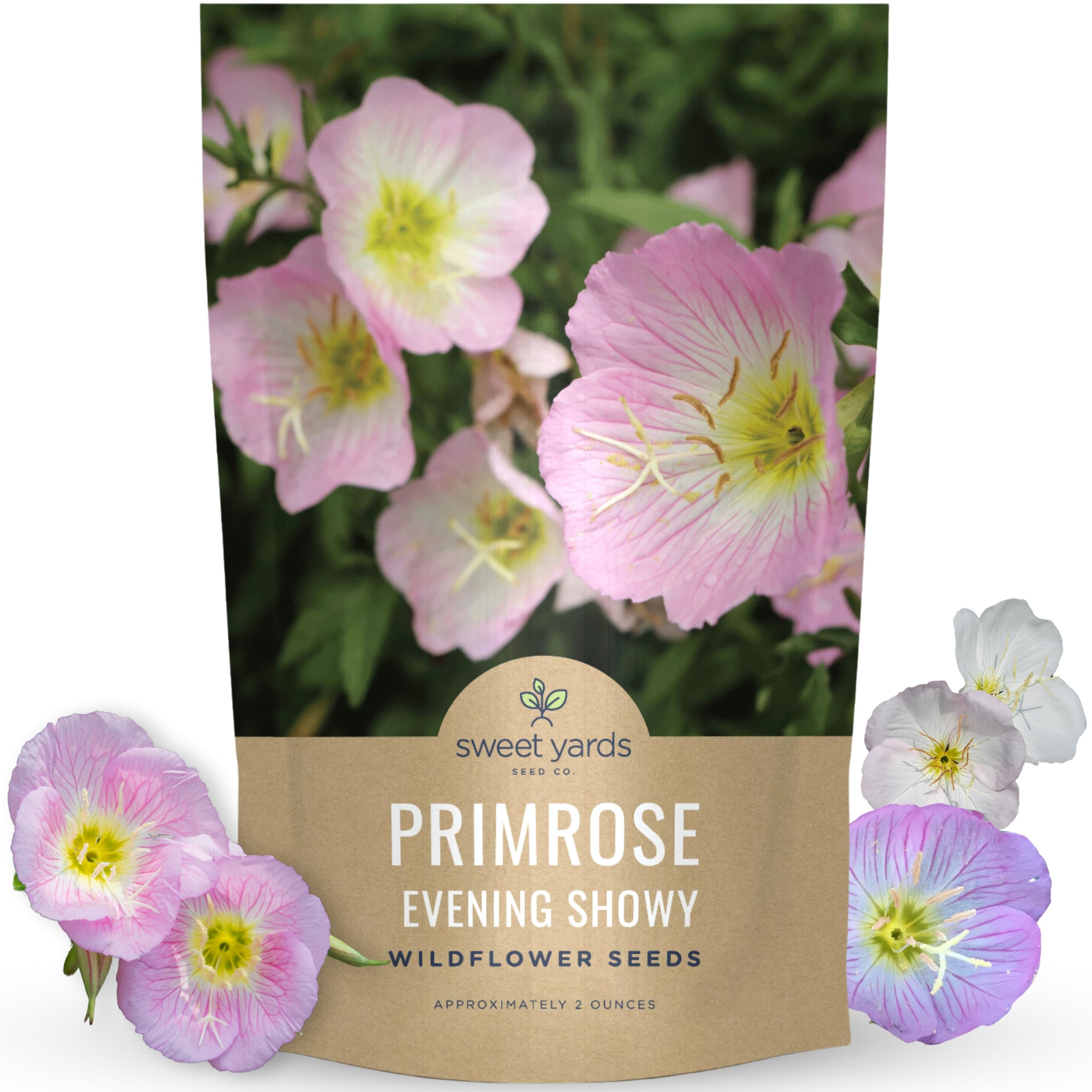 Primrose Evening Showy Bulk Seeds