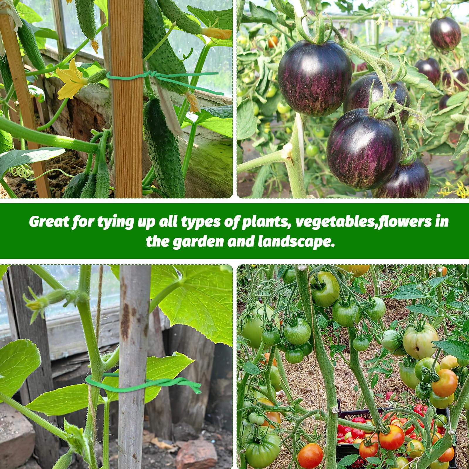 Tutori e bordure per piante da orto e giardino | Viridea