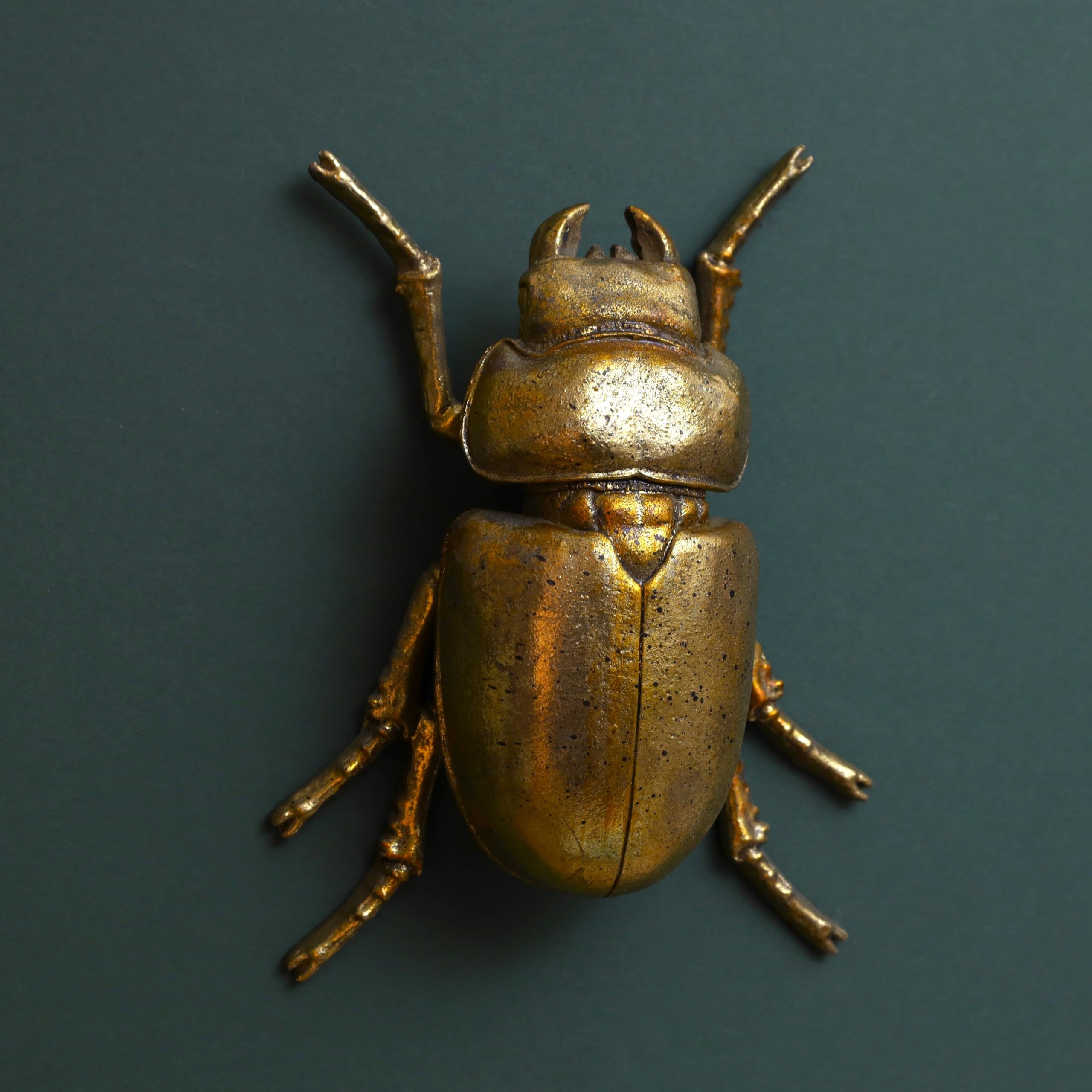 Steampunk Gold Finish Stag Lady Beetle Bee Scarab Beetle Insect Bug Wall Art Hanging Ornament Décor (Large Lady Beetle)