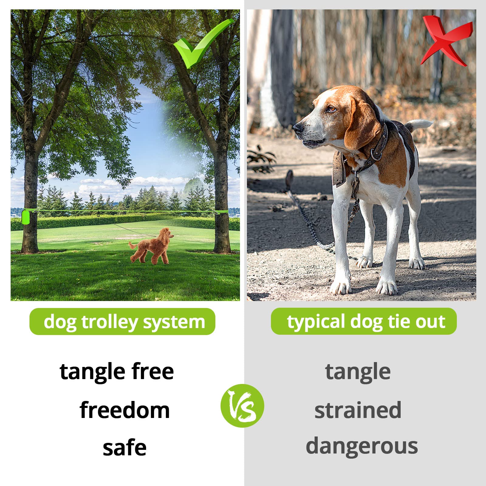 View 4