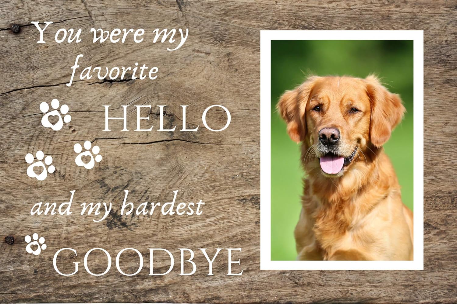 DOG MEMORIAL GIFTS You Were My Favorite Hello And My