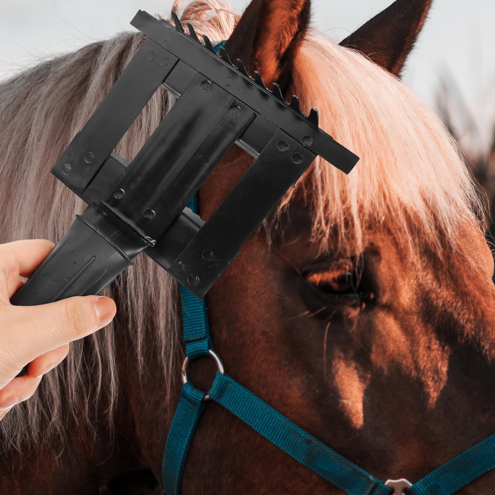 VANZACK 4pièces Peigne De Toilettage Pour Chevaux Râteau Pour Chevaux Et Brosse Anti-saleté Pour Animaux De Conception Ergonomique Et Légère