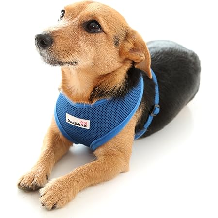 doodlebone harness size guide