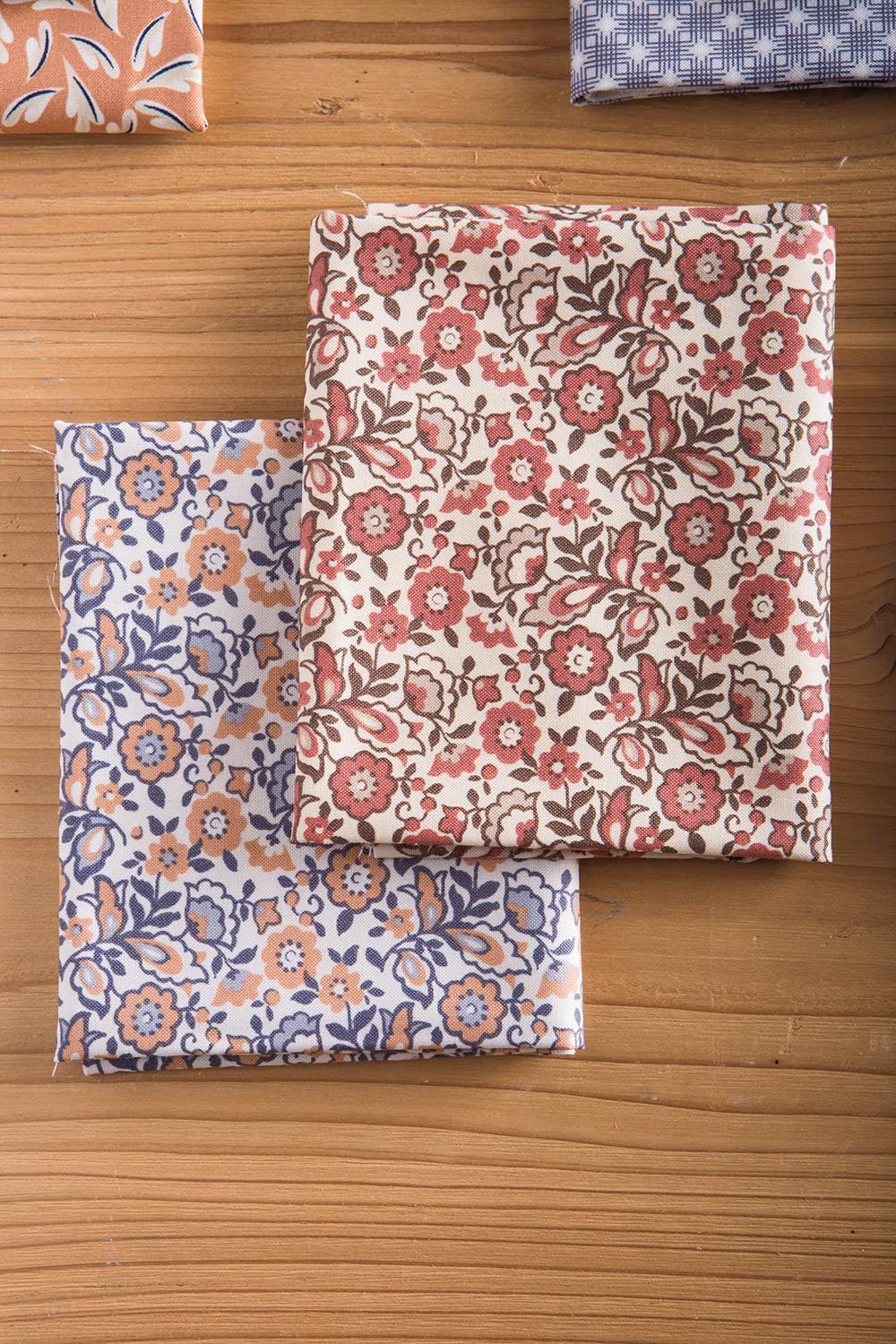 Connecting Threads Print Collection Precut Quilting Fabric Bundle 2.5" Strips (Arcadian Dusk)