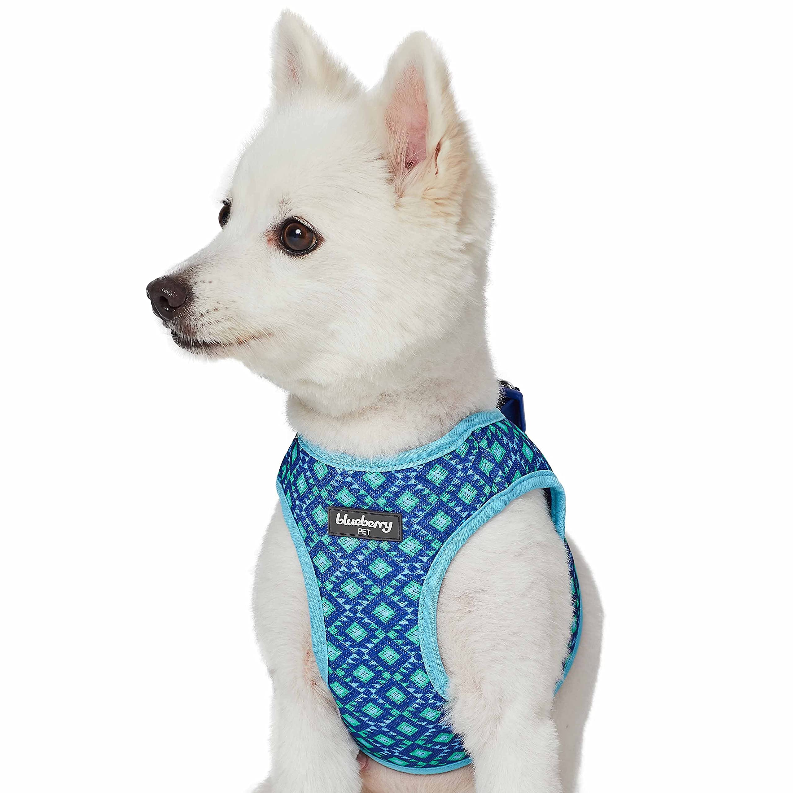 Harnais vert pour chien XS pour éviter de tirer sur la laisse du chiot