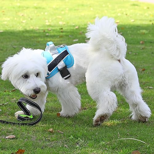 Miniatura 123 de Bolux - Arnés para perro, reflejante y transpirable, ajustable, con asa, para sacarlo a pasear, no más tirones ni asfixia (amarillo militar, talla L)