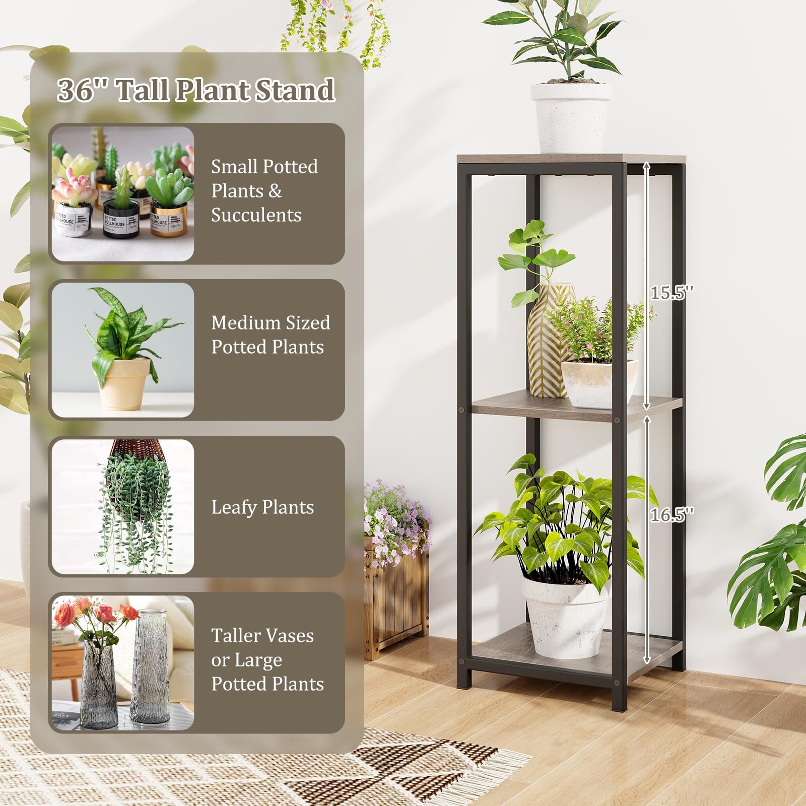 scientific name for pothos Golden Pothos Plant (Epipremnum aureum)