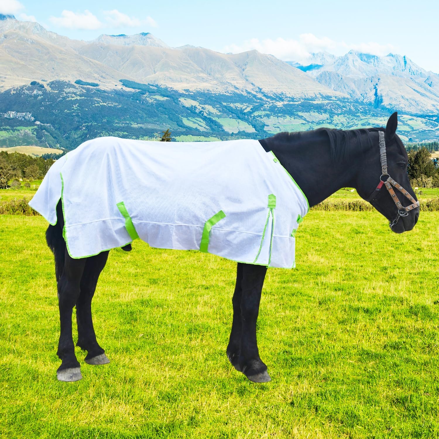 Comfy Mesh Horse Fly Sheet with Advanced UV & Insect Protection – Lightweight Summer Fly Rug for Equine（White 80in）