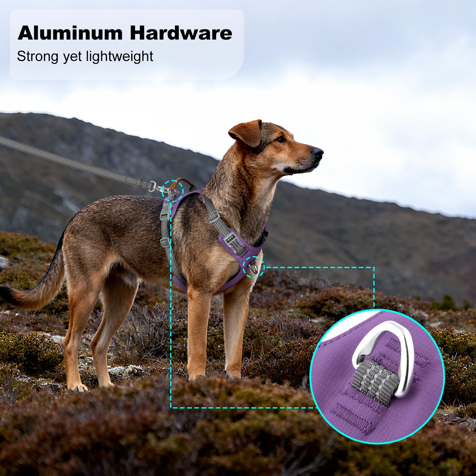 No Pull Dog Harness – Adjustable Reflective Nylon Vest for Small Medium Large Dogs, Escape Proof Training Harness with Leather Control Handle, Lightweight Aluminum Hardware (Purple, M) - image 4