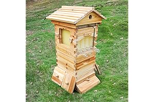 Mini Flow Hive Nuc Box with Flows Frames and Hive Foundations, Brood...