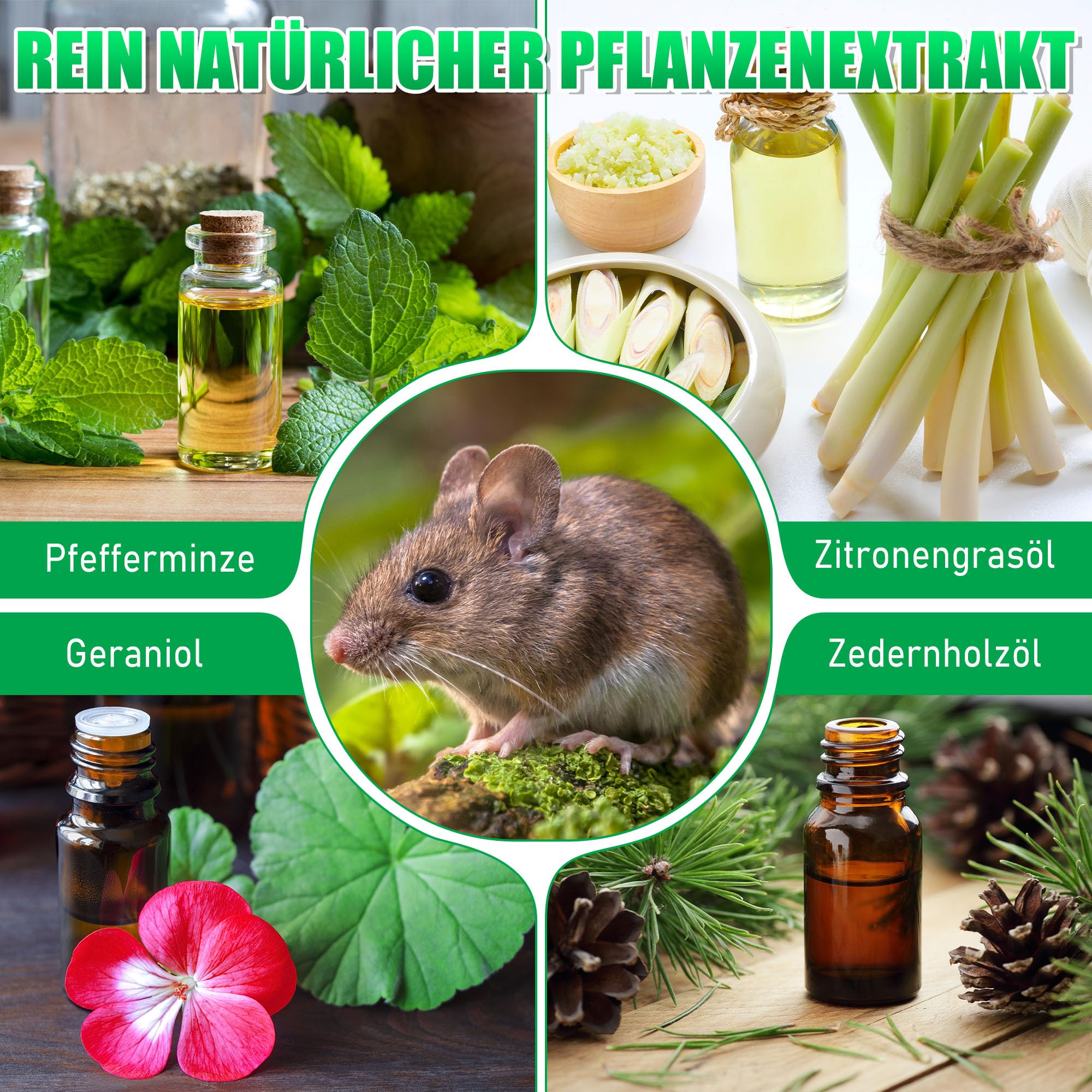24 Stück Mäuseabwehr mit Pfefferminzöl - Natürliches Mäuse Vertreiben ngiftig und sicher für Kinder & Haustiere, Ratten Vertreiben mit Textilbeutel zum einfachen Aufhängen für Mäuse, spinnena