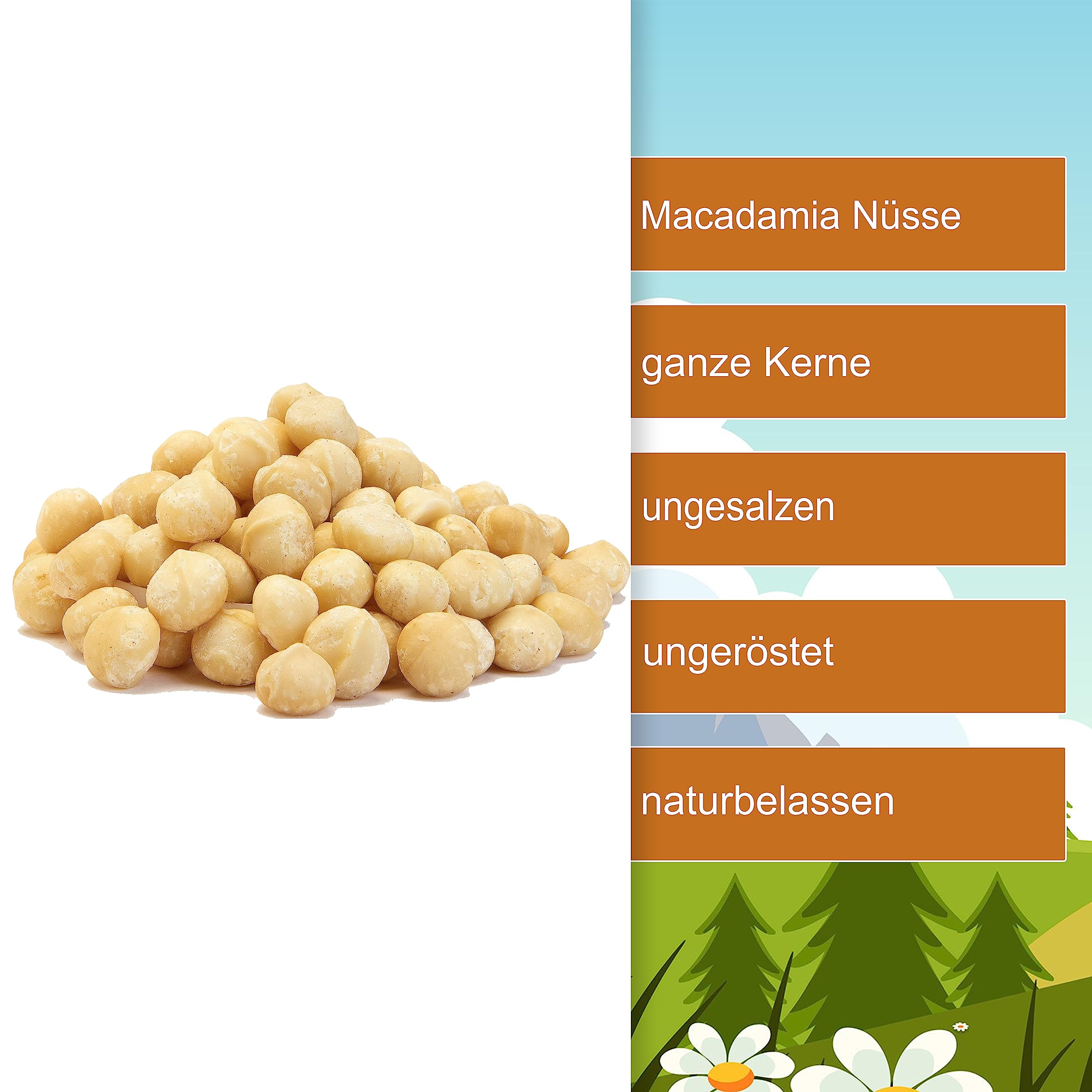 Macadamia Nüsse 1,5kg Macadamianüsse ungeröstet & ungesalzen ganze Macadamia Nusskerne roh ungesalzen naturbelassen unbehandelt knackige Macadamia Nüsse in Rohkostqualität - (1,5kg)