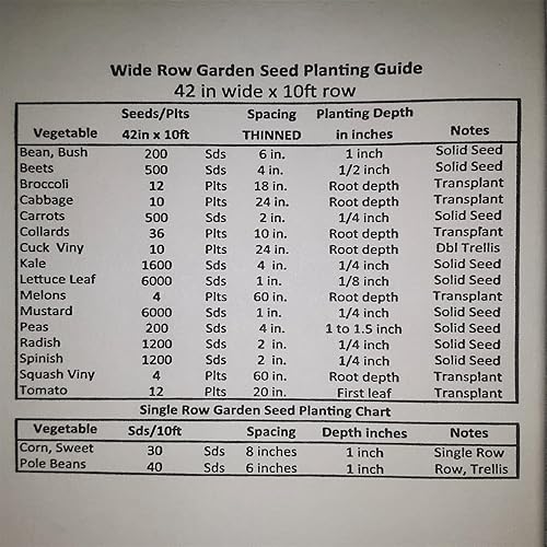 Miniatura 4 de PAPAW'S GARDEN SUPPLY LLC. Ayudando a la próxima generación a crecer! Sweet Million - Semillas de tomate cherry, sin OMG, 1 paquete de 25 semillas