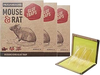 MUSANGKING 12 Pack Mouse Rat Glue Trap,Mouse Traps,Rat Traps,Mouse Traps Indoor,Rat Traps for House,Mouse Glue Traps,Mice Traps for House,Sticky Traps,Easy to Set (8.6" x 13.3")…