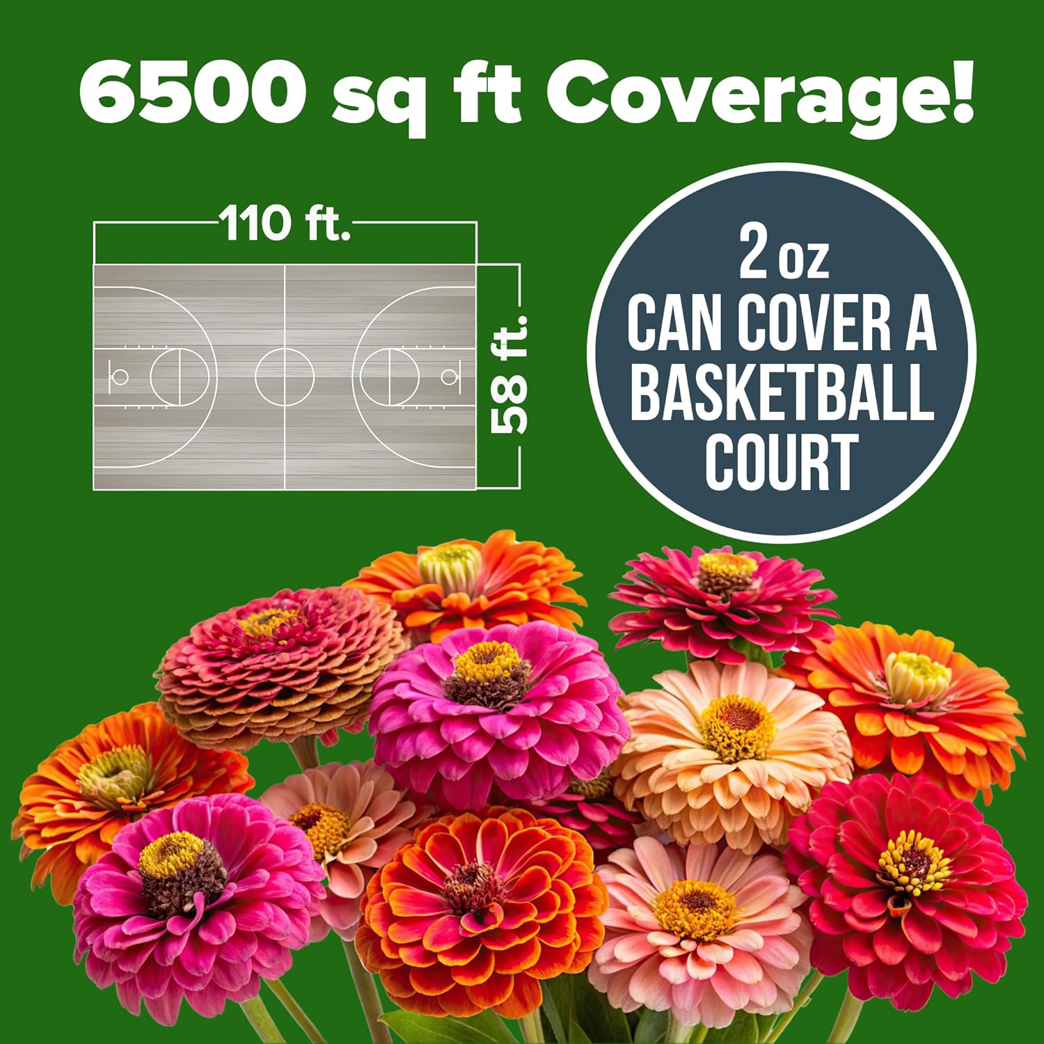 HOME GROWN Zinnia Seeds for 2026 - California Giant Mix - 7,300+ (2 oz) Plant Wildflower Blooms Bulk Seeds for Planting Flowers Outside - Pollinator Gardens (Zinnia elegans)