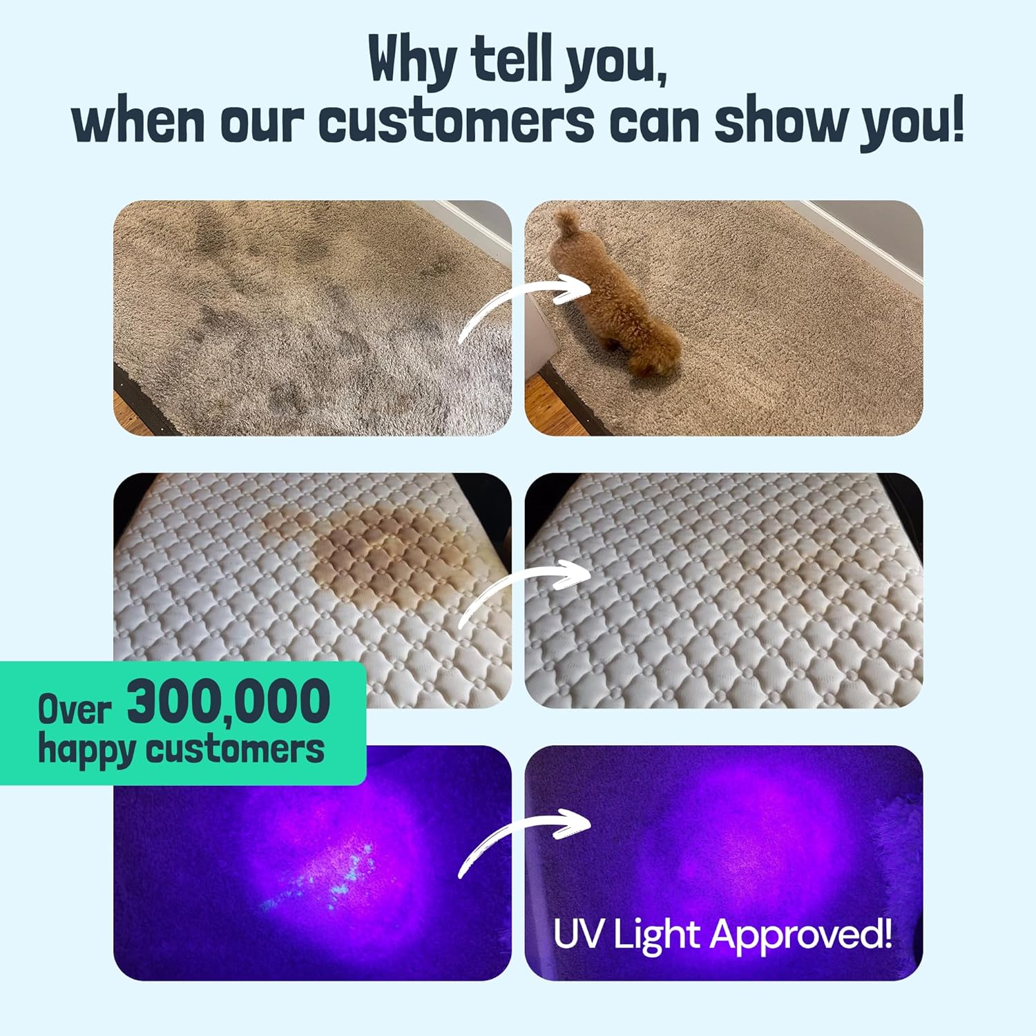 Sunny & Honey Carpet Cleaner Solution - Carpet Shampoo & Pet Stain Remover for Upholstery & Rugs - Works With Steam Cleaners (128 fl oz, Spring Mint Scent)