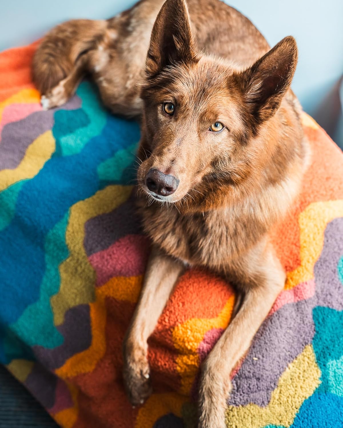 Wilderdog Sherpa Fleece Waterproof Dog Blanket - 50" x 40" - Canyon