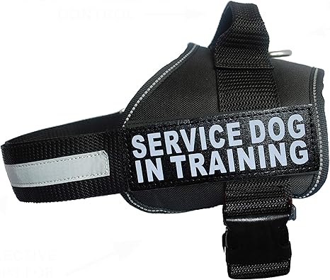 Doggie Stylz Service Dog in Training Vest 2 Hook and Loop Removable  Reflective Patches, Straps and Handle – Harness Comes in Sizes XXS to XXL  and 4 ...