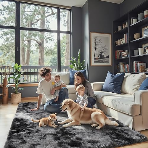 Super Soft Shaggy Area Rugs for Bedroom 4x6 Feet, Shaggy Plush Living Room Shag Furry Floor Rugs, Non-Shedding Indoor Rugs for Living Room Decor(4 x 6, Dark Grey Tie-Dyed)