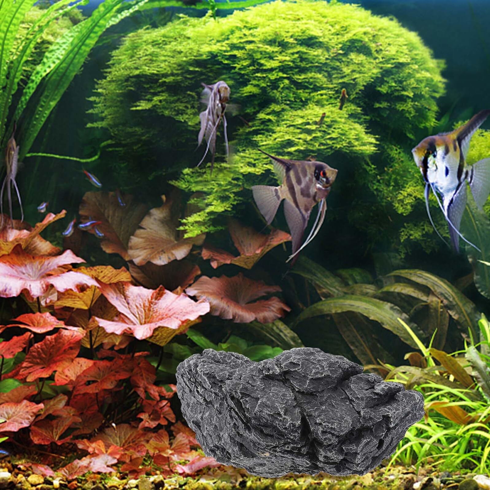Didiseaon Decorazione per Acquario in Resina Pietra Realistica Sicura per Animali Acquatici e Terrari Effetto Naturale per Allestimenti di Acquari e Bonsai
