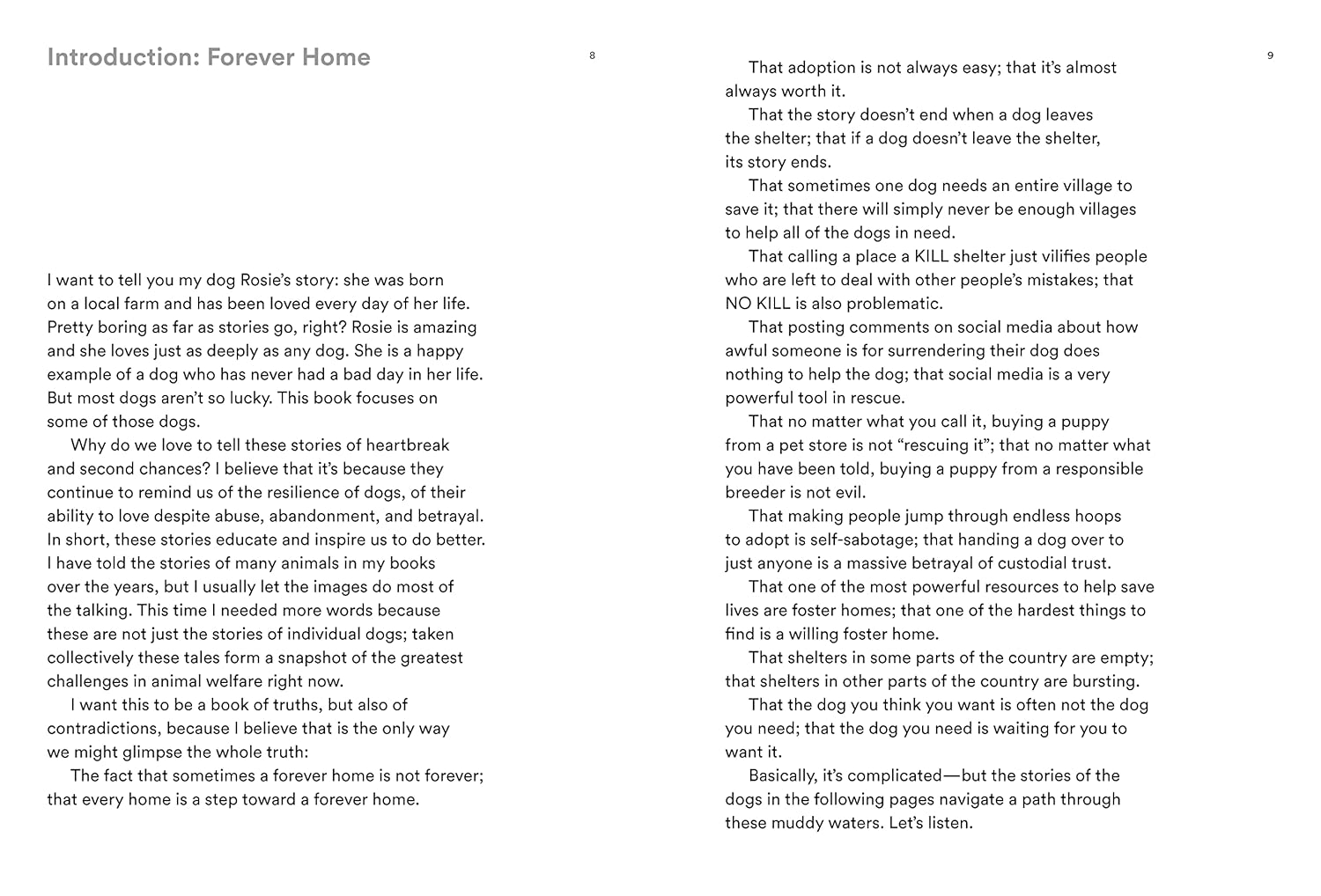 Forever Home: The Inspiring Tales of Rescue Dogs - Image 3