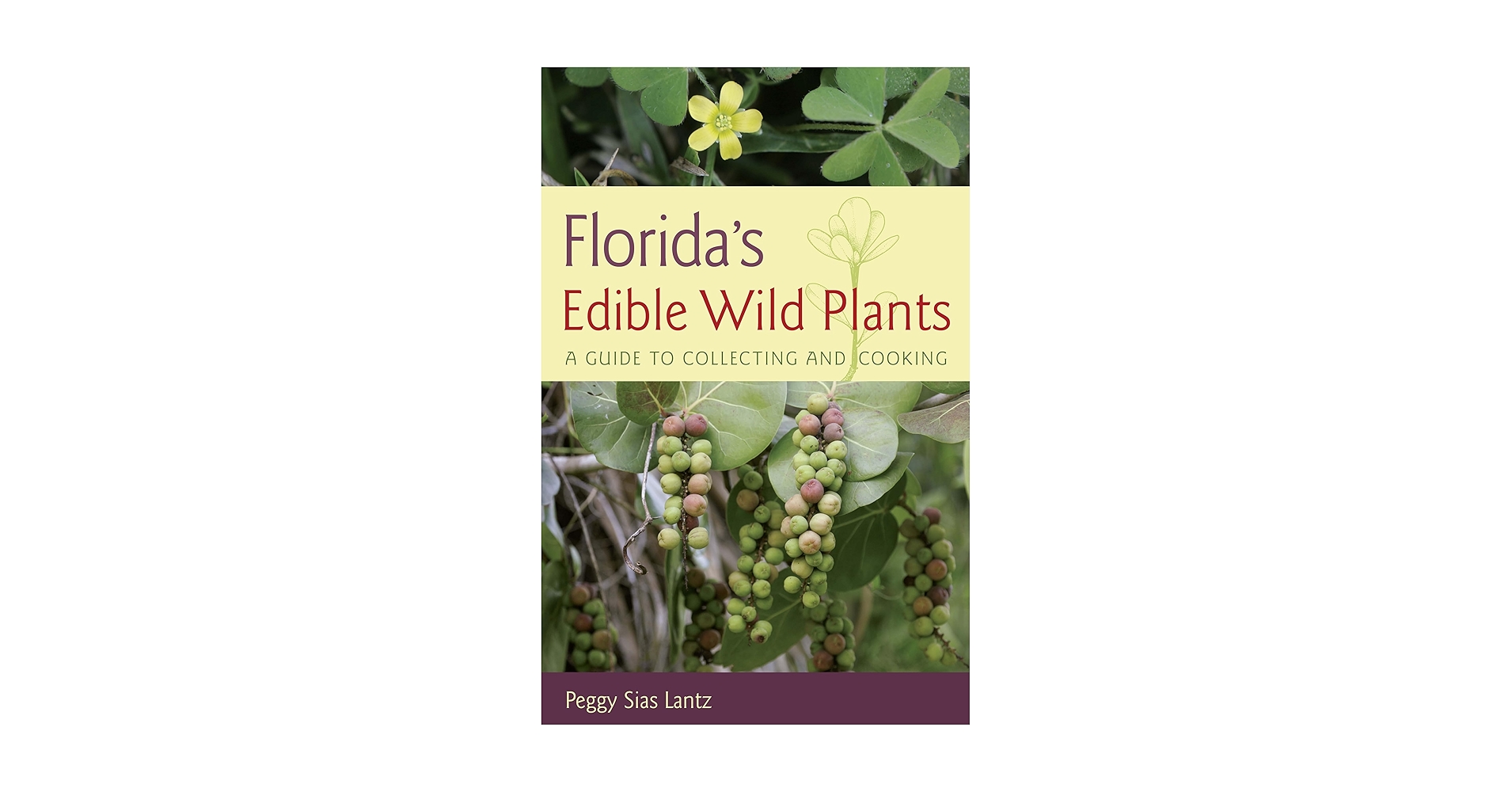 Best Edible Plants to Grow in Central Florida: Top Picks for Thriving Gardens 2 Best Edible Plants to Grow in Central Florida: Top Picks for Thriving Gardens