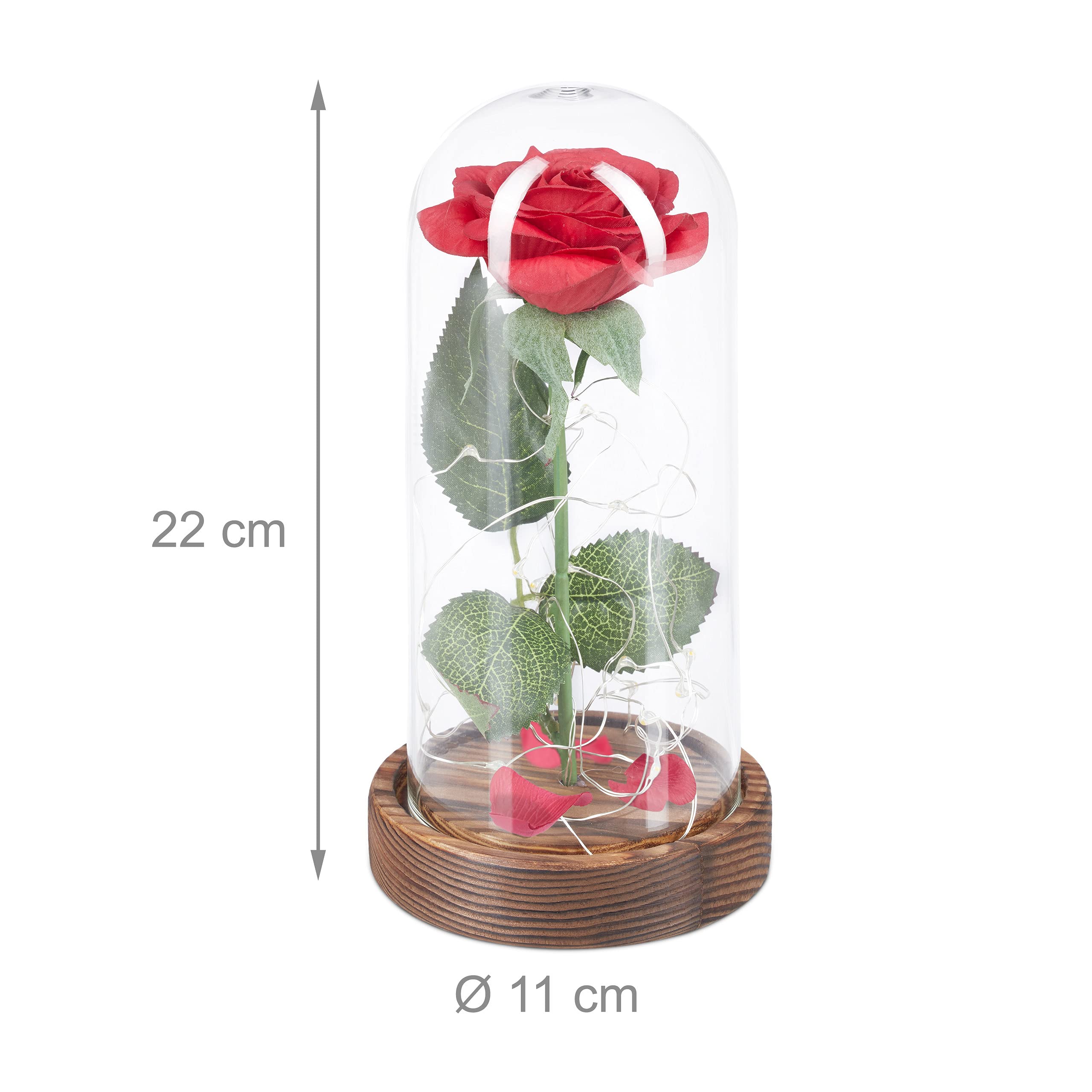 Relaxdays Wieczna róża z łańcuchem świetlnym, prezent dla kobiet, szklana kopuła, drewniana podstawa, piękna i bestia, sztuczna róża, czerwona, 1 sztuka