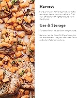 Vista 4 de Burpee Ambrosia Cantaloupe Melon Seeds 30 semillas