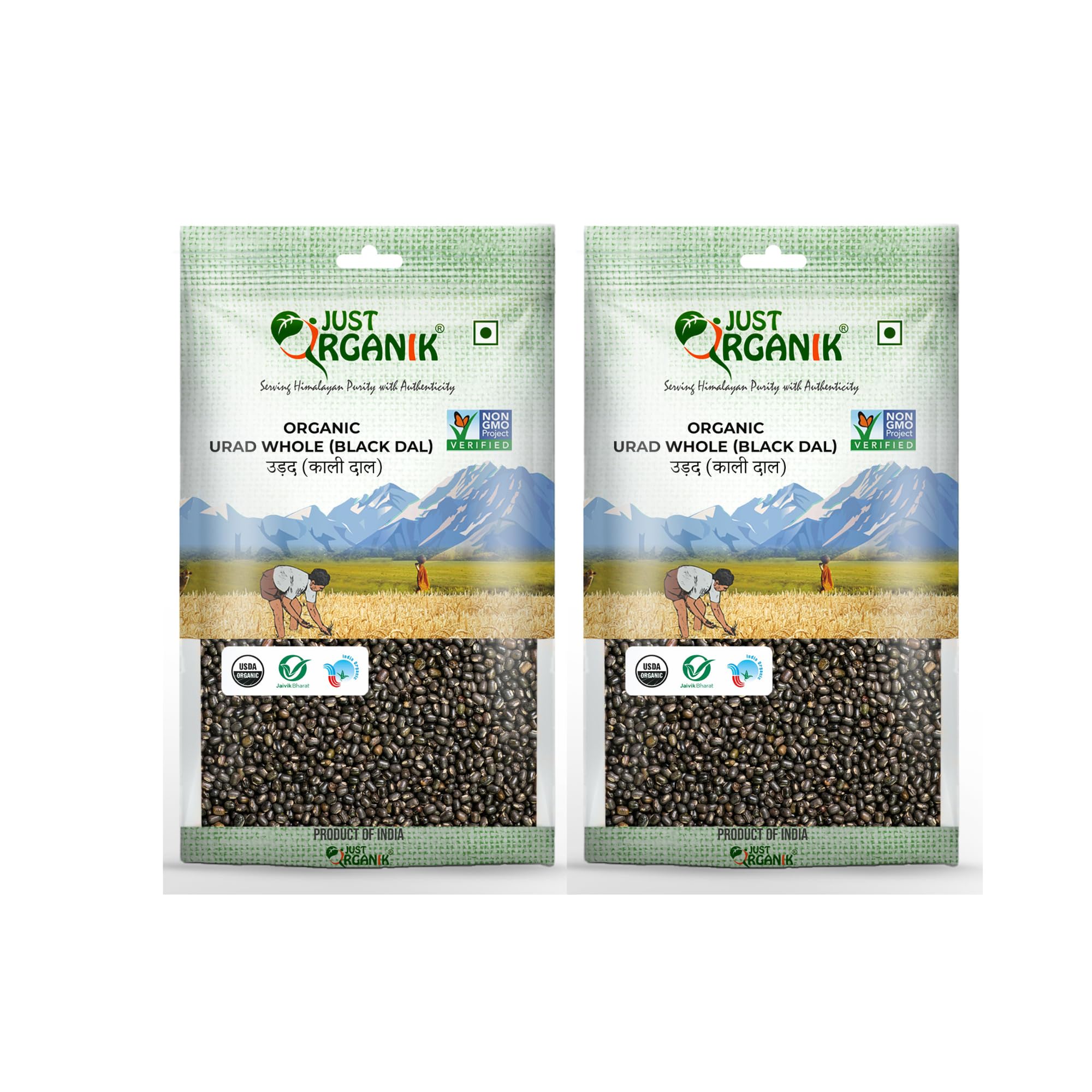 Just Organik - Organic Urad Whole (Black Dal) 2 Kg (2 x 1 Kg) | 100% Organic | Kali dal | Maa ki dal | sourced from Himalayan Foothills | Black gram Whole | Authentic dal | Rich in Protein (B09HNZPNBS) Amazon Price History, Amazon Price Tracker