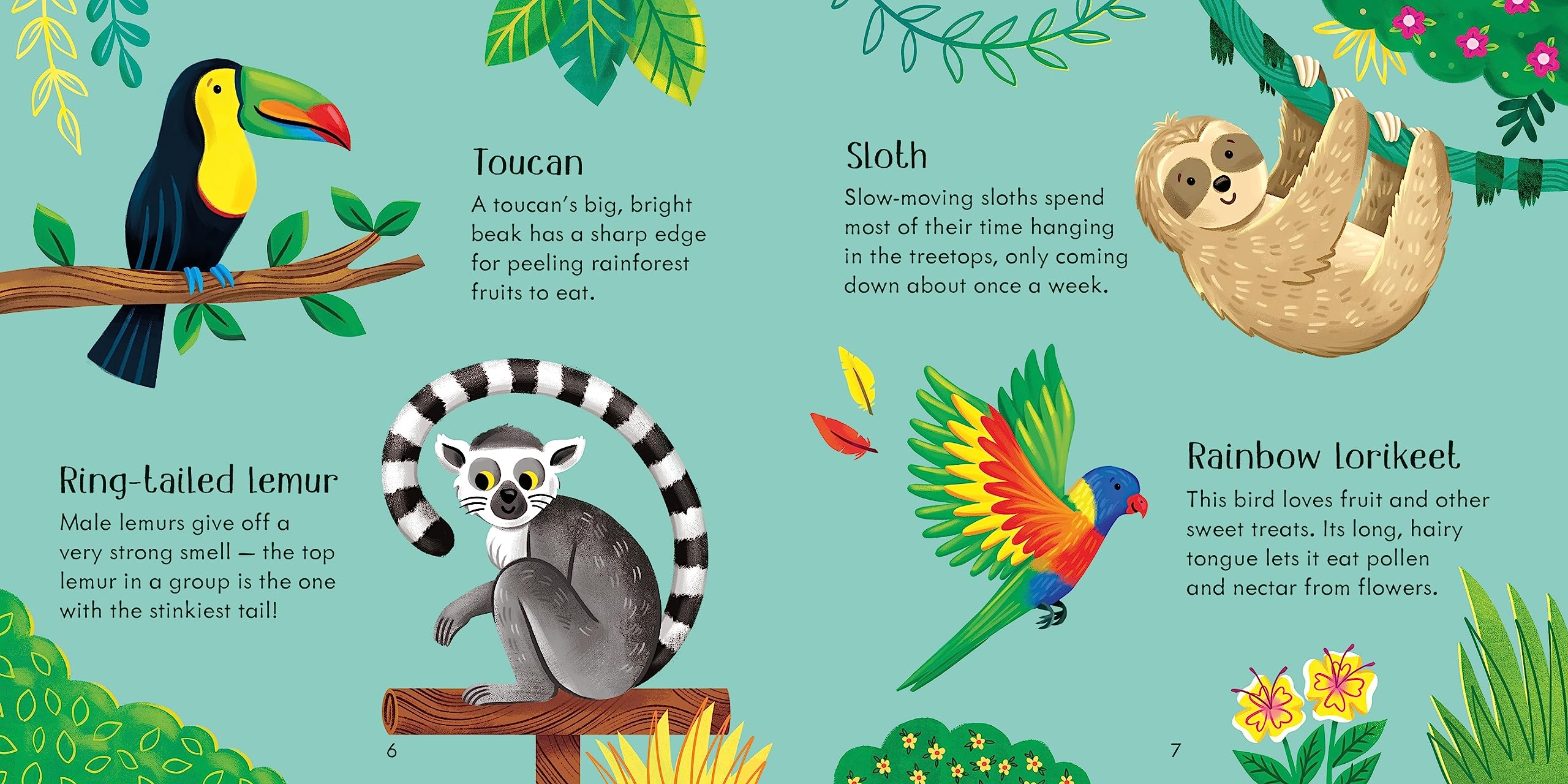 Zoo Matching Games