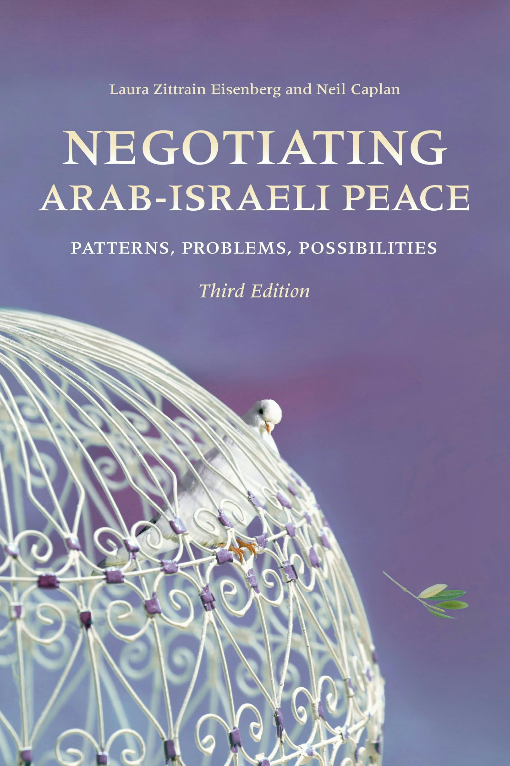 Negotiating ArabIsraeli Peace by Laura Zittrain Eisenberg PAPERBACK