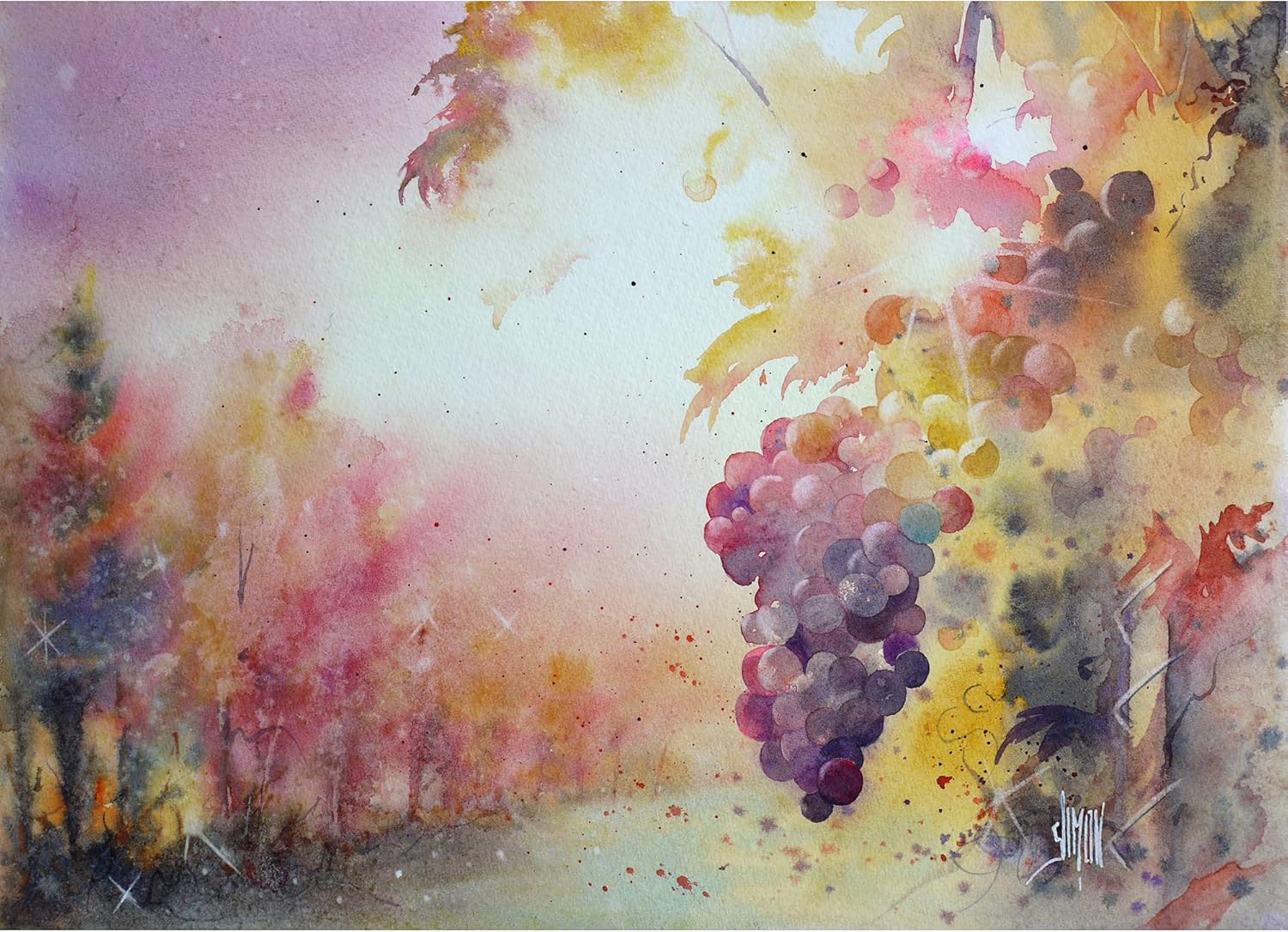 Clairefontaine Fontaine Cold Pressed Watercolour Pad, Wirebound, 300 g, 12 x 18 cm, 12 Sheets