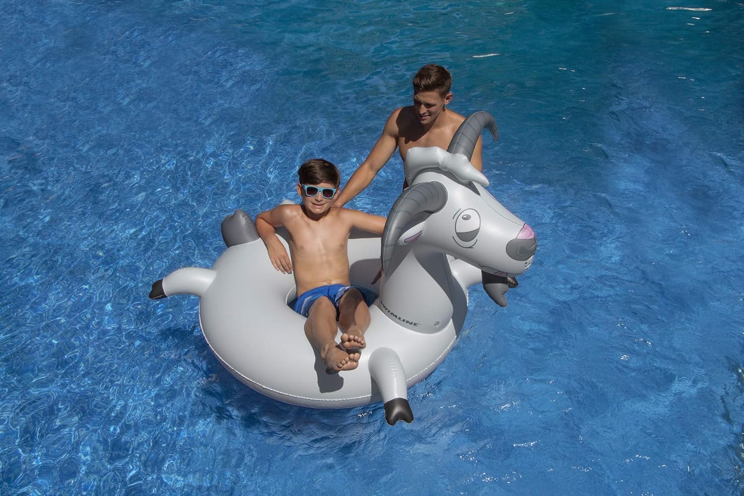 Swimline Inflatable Goat Swim Ring, Grey : Everything Else
