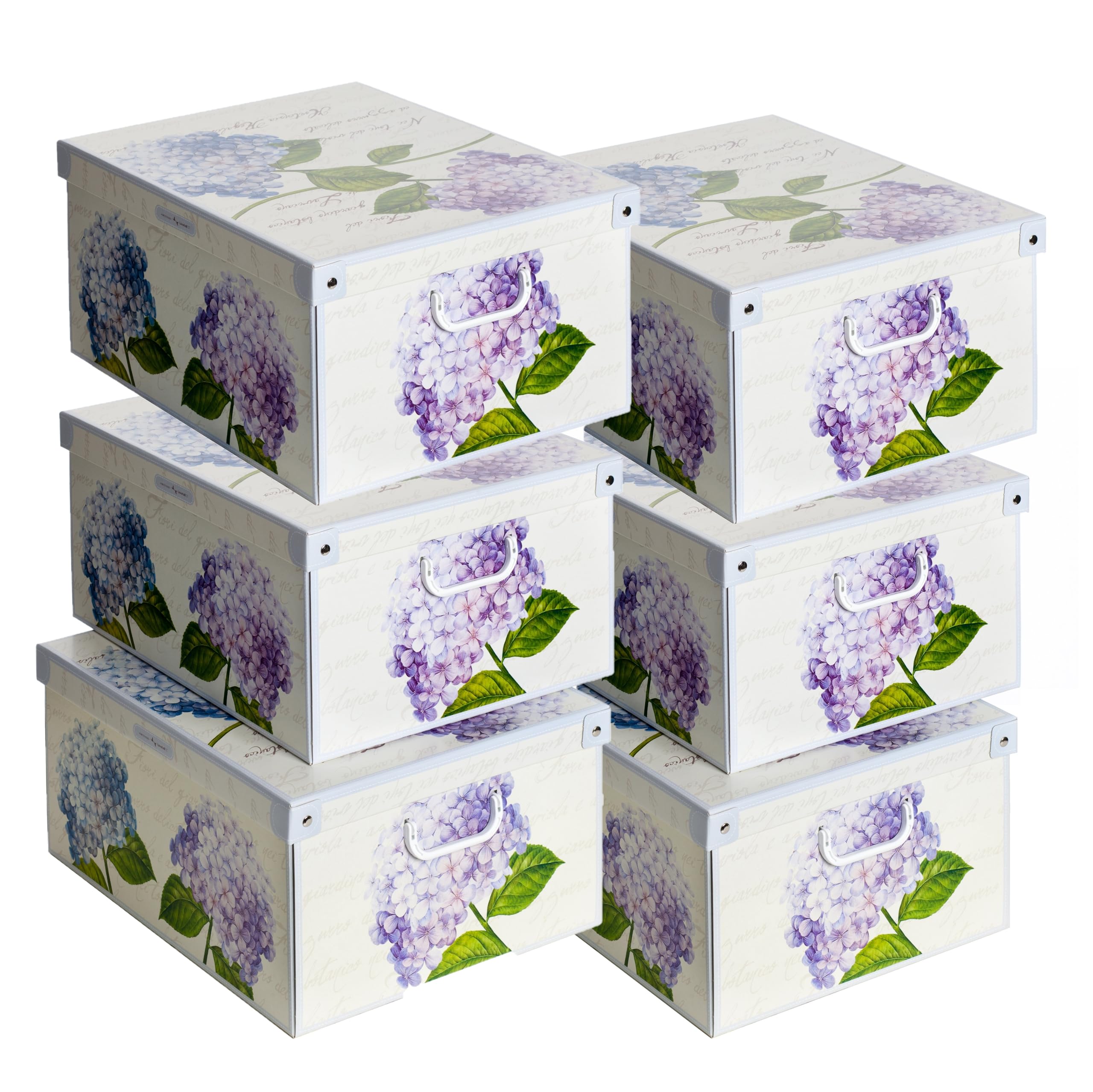 Lavatelli Set aus 6 Aufbewahrungsboxen mit Deckel – Große Kleiderboxen aus Karton 39x50x24 cm – Robust, leicht zu montieren, mit Tragegriffen – Perfekt für Kleiderschrank & Saisonwechsel Hortensien