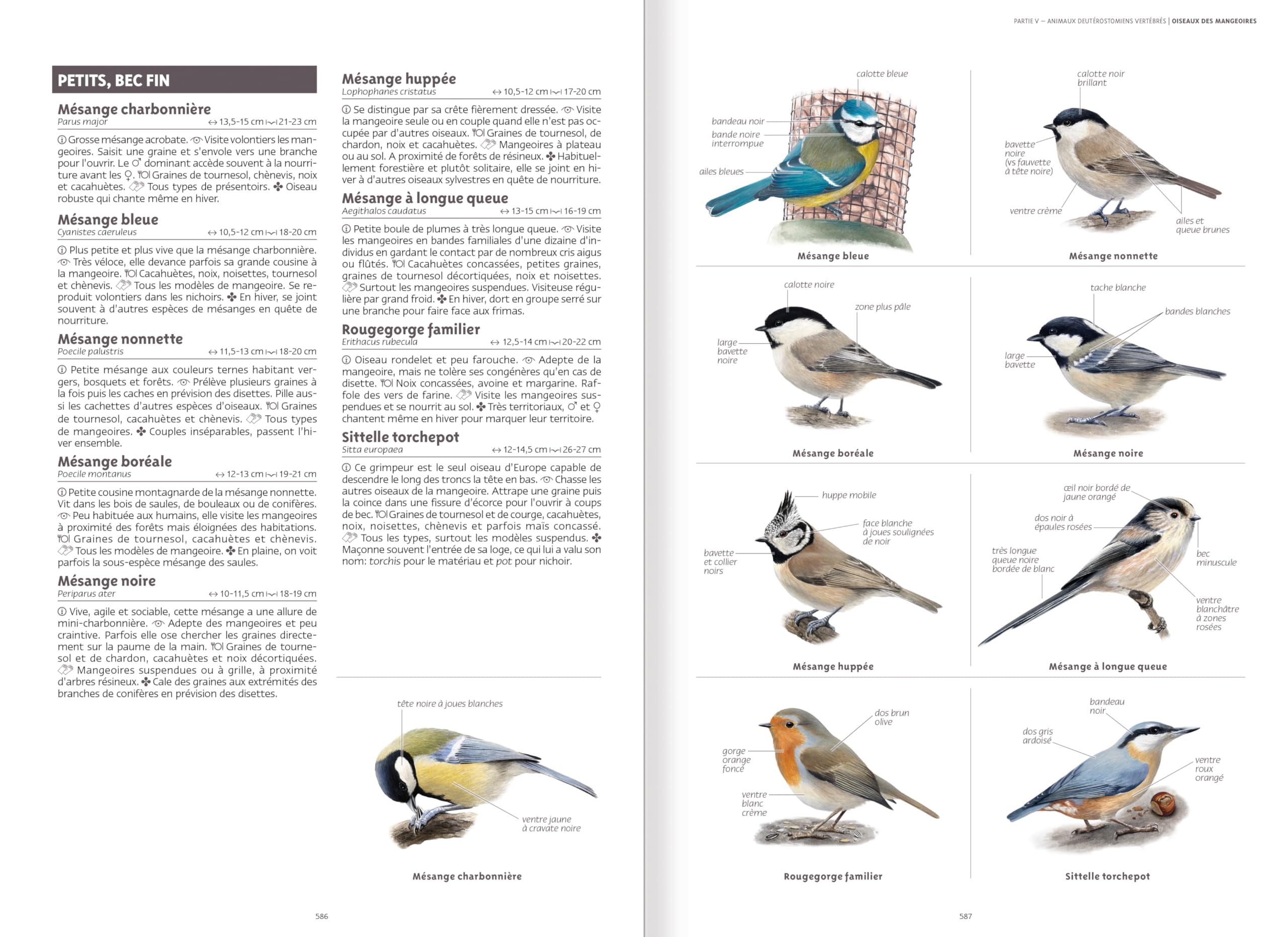 Le grand guide de la nature