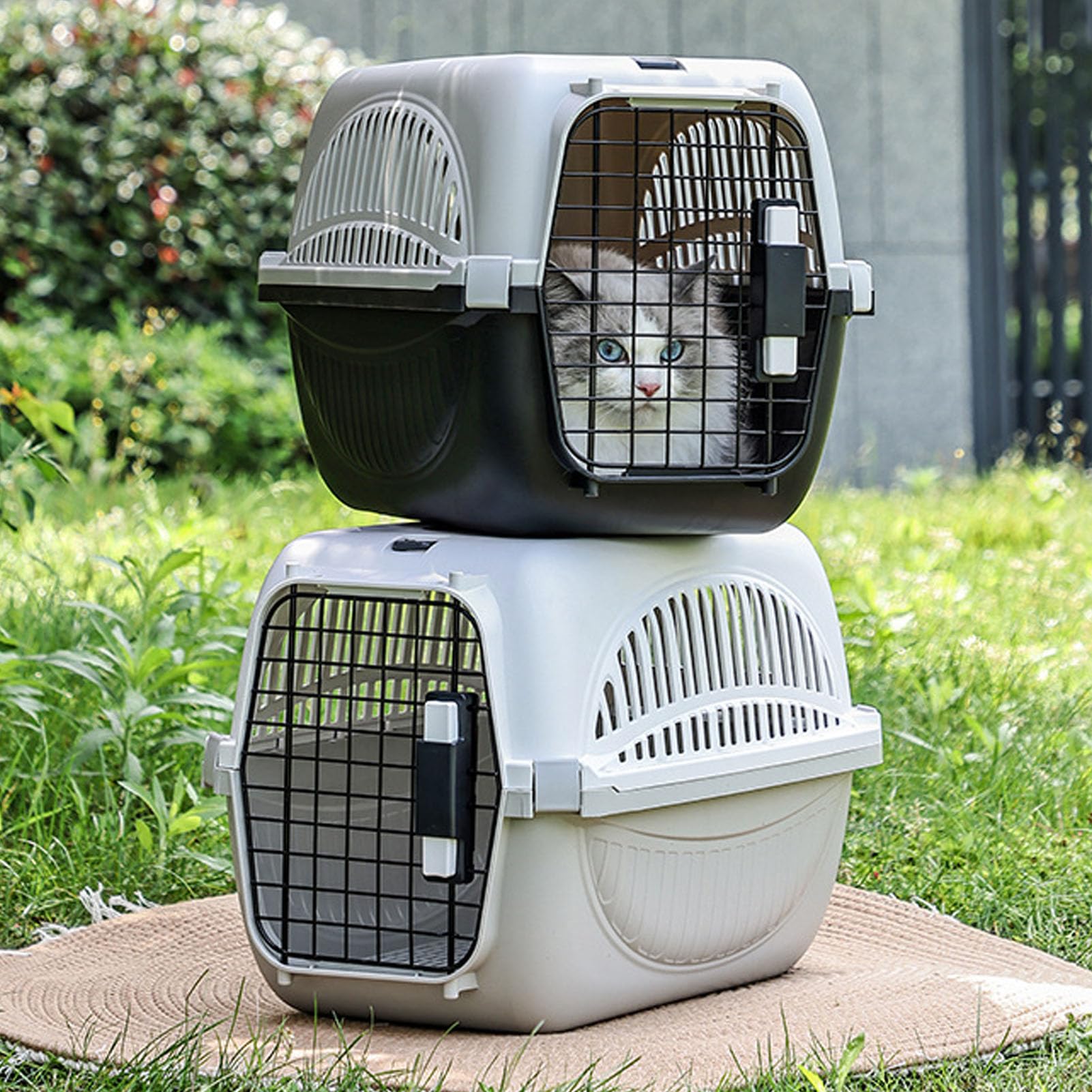 Dilwe Przenośny Plastikowy Transporter dla Zwierząt Deluxe Wygodny Transporter dla Psa Zapewniający Bezstresowe Podróże 18,9 X 12,6 X 12,6 Cala (GREY)