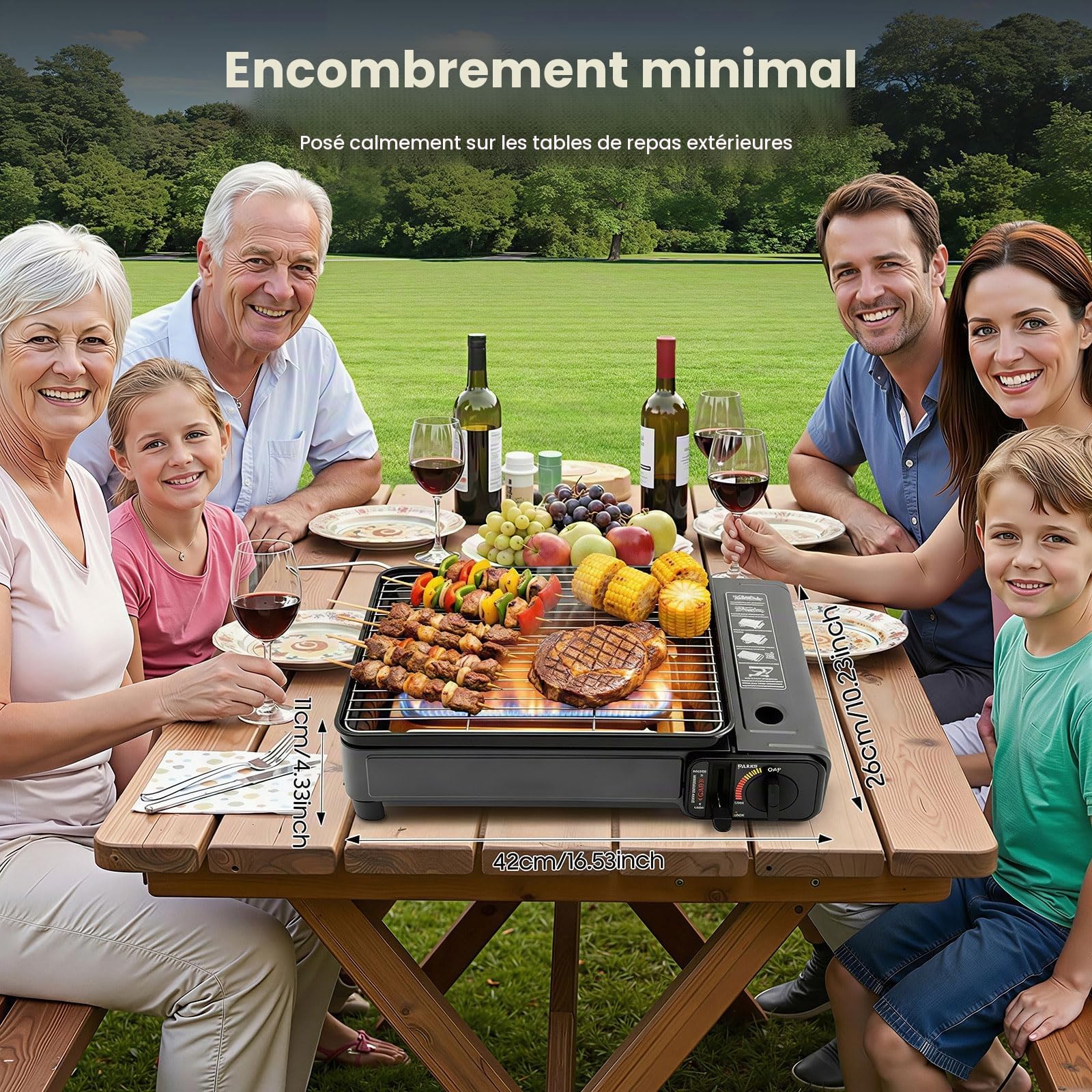 Barbecue à gaz et réchaud à gaz d'extérieur 2200 W - Protection contre les surtensions avec réservoir à graisse, valise et 2 filets de barbecue - Petit barbecue à gaz portable pour camping, terrasse