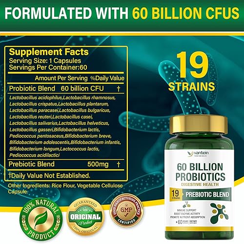 Miniatura 3 de vantein Probióticos, paquete de 2, mezcla prebiótica de 60 mil millones de UFC, 19 cepas, mantiene el sistema digestivo saludable, probióticos de