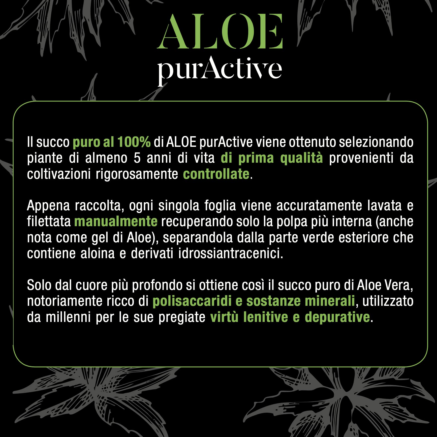 MONTENATURA® Aloe purActive | Integratore alimentare di puro succo 100% Aloe Vera non pastorizzato da bere puro | Tripack 3 x 500 ml