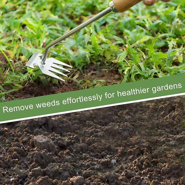 Orelex Unkrautstecher, Unkrautjäter aus Edelstahl mit Holzgriff, Robuste Gartenhacke zum Entfernen von Unkraut & Auflockern des Bodens - Praktisches Gartenwerkzeug - 4