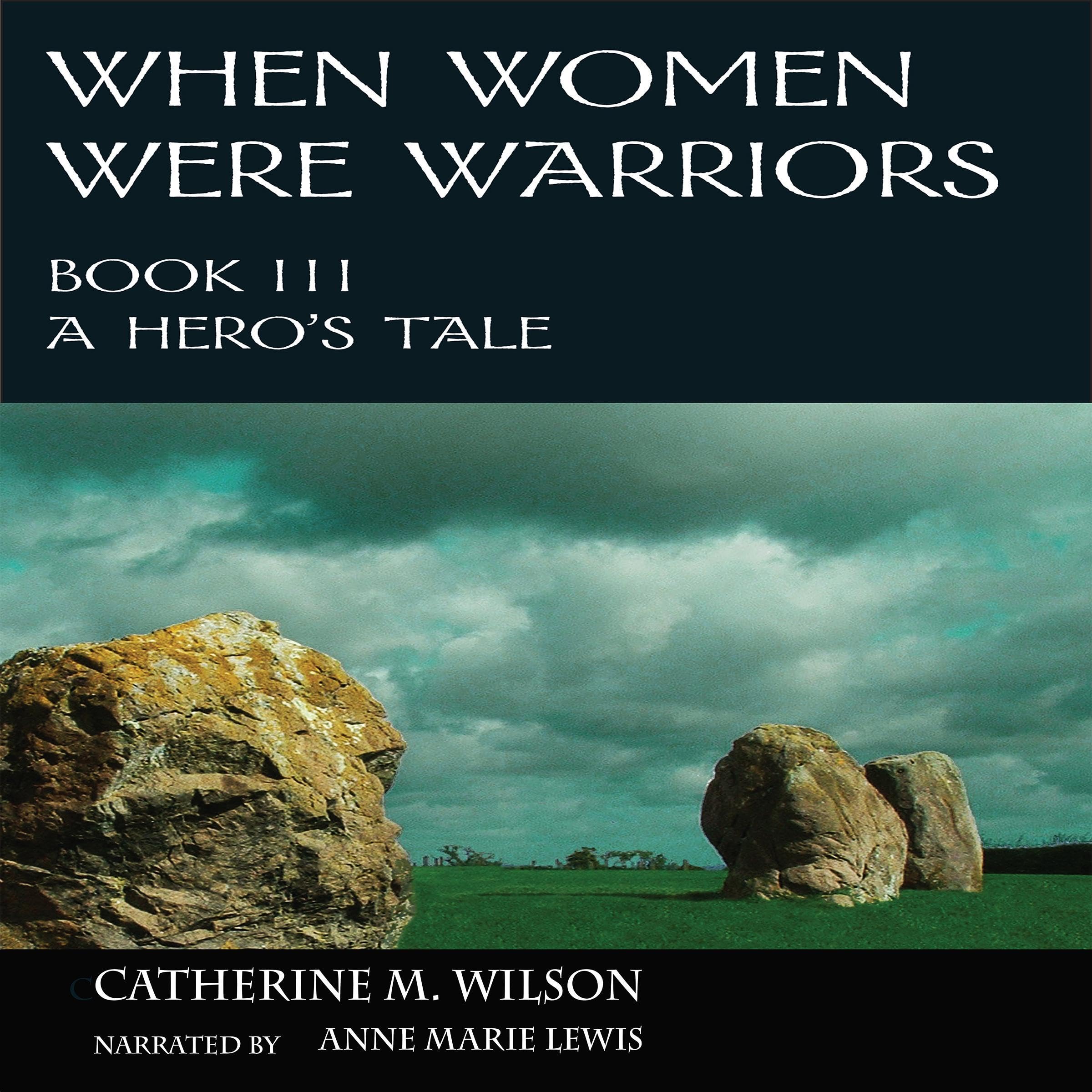 Cover art for A Hero's Tale