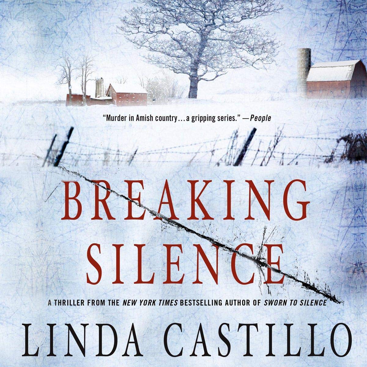 Cover art for Breaking Silence