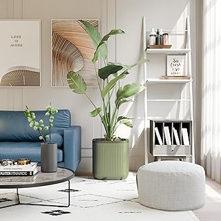 Self-Watering Large Indoor Planter